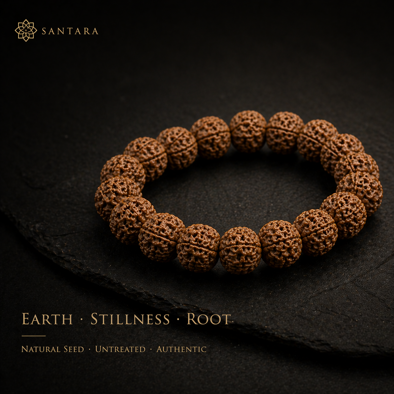 Rudraksha Bead Bracelet (Natural Seed)