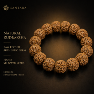 Rudraksha Bead Bracelet (Natural Seed)