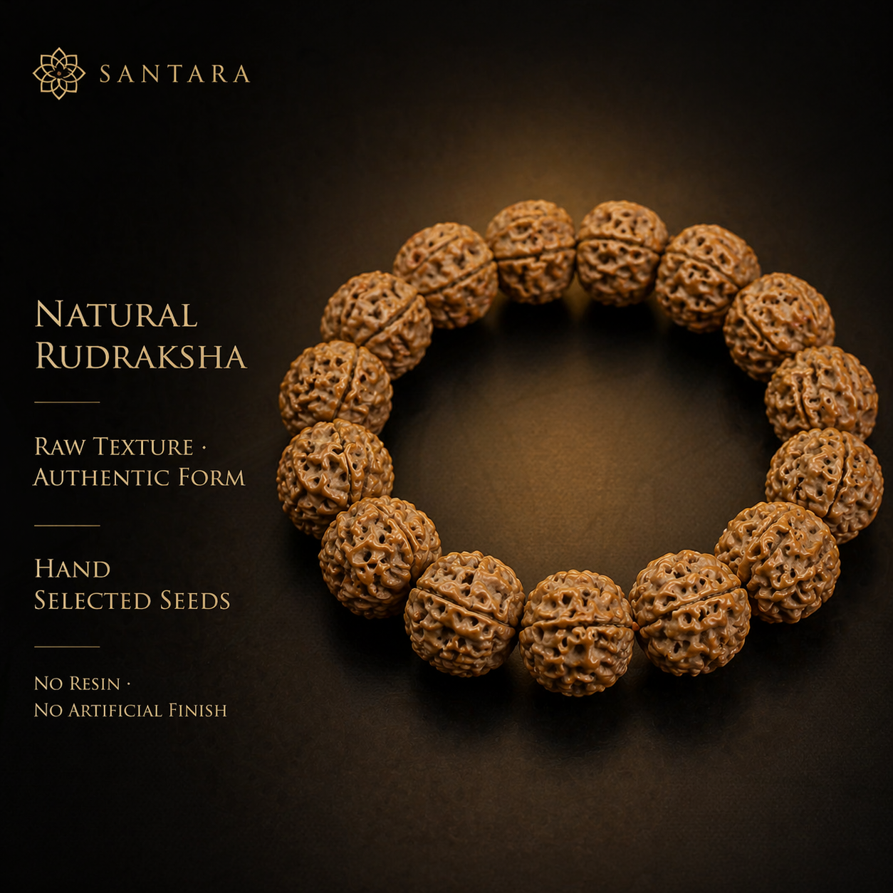 Rudraksha Bead Bracelet (Natural Seed)