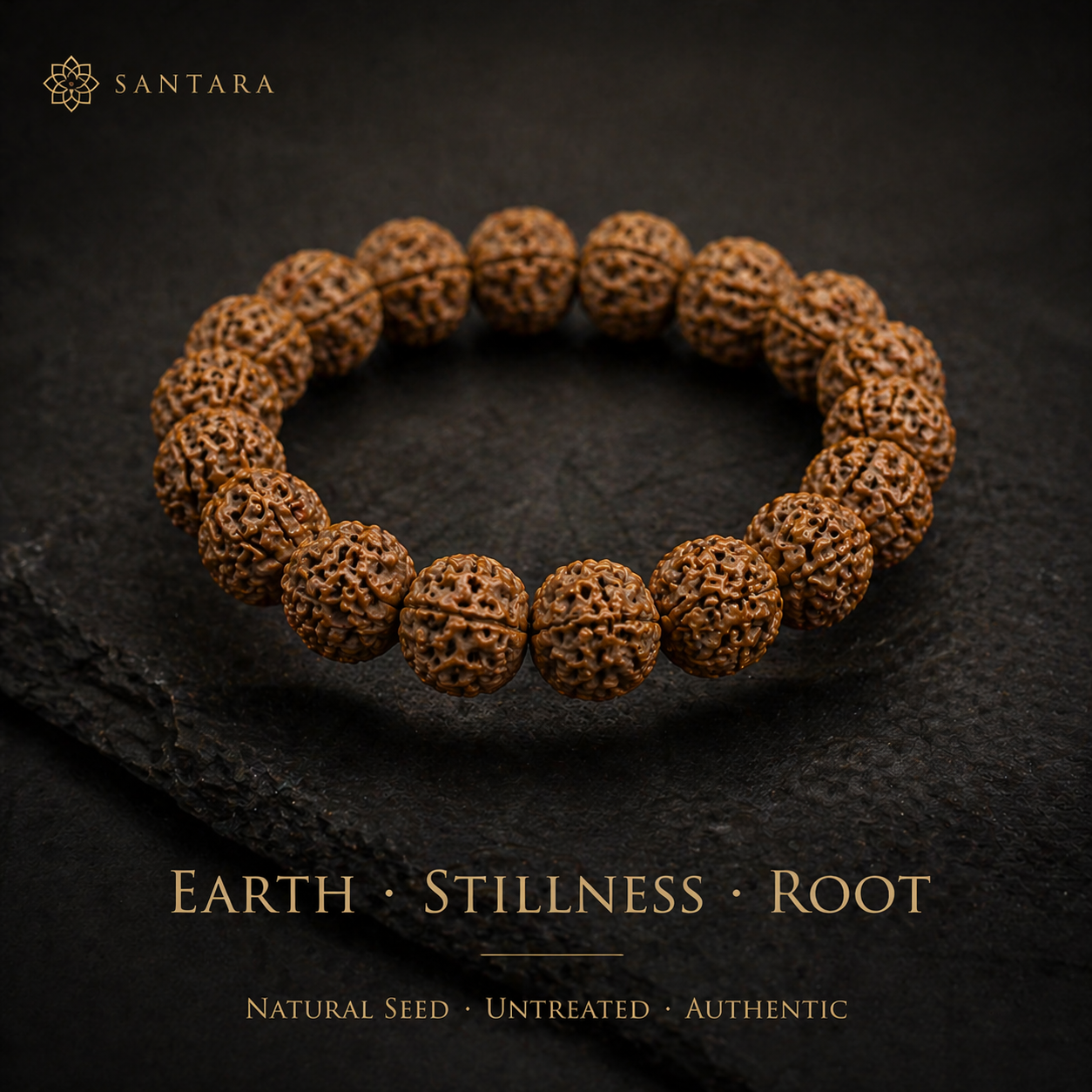 Rudraksha Bead Bracelet (Natural Seed)